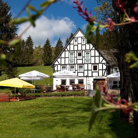 Forellenhof Wald- Und Wiesenquartier Bad Berleburg Exteriér fotografie