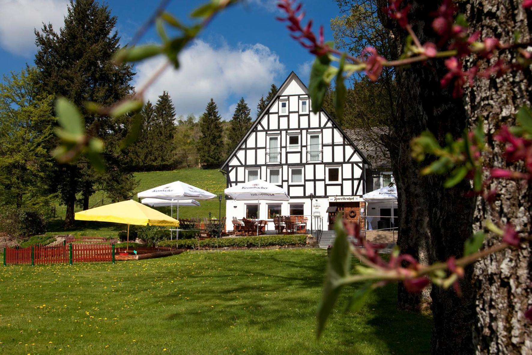 Forellenhof Wald- Und Wiesenquartier Bad Berleburg Exteriér fotografie